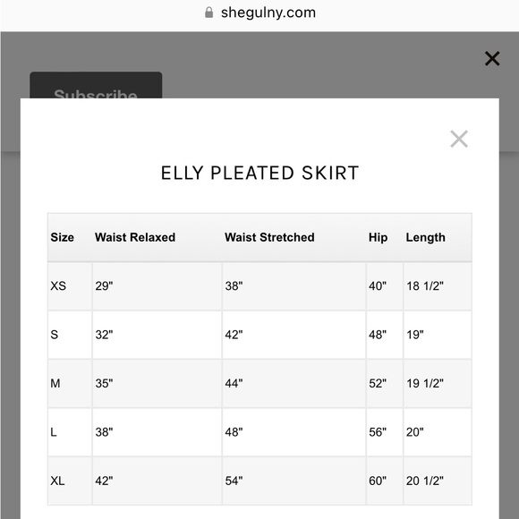 Shegul Elly Skirt in Zebra Print Size M (16/18) (NWT) - Picture 3 of 9